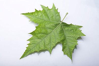 《死亡回归》4090显卡4K光追演示 60帧+无压力